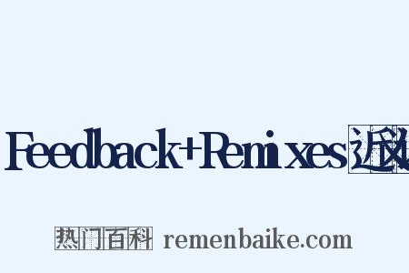 Feedback+Remixes近义词是什么意思的图片